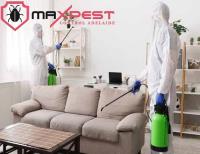 MAX Bee Removal Adelaide image 4